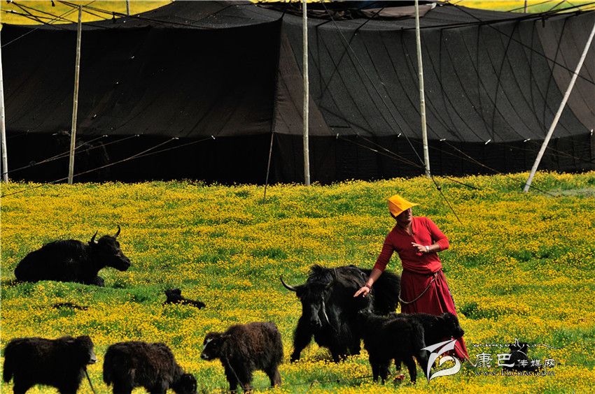 人文類(lèi)優(yōu)秀獎(jiǎng)（一）