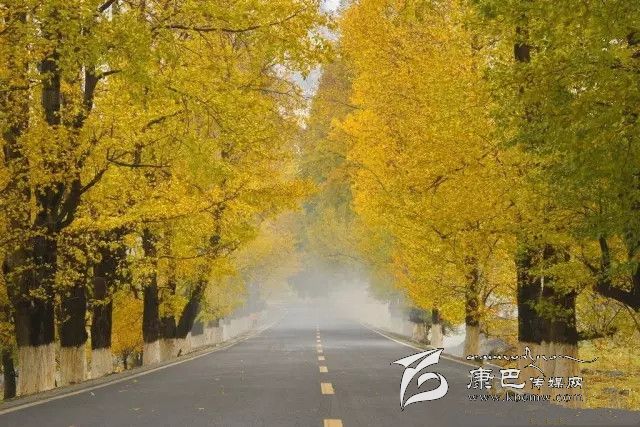 康定新都橋，有一條黃金大道通往夢中的天堂