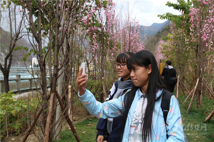 春光俏！“醉”是瀘定春三月，踏青賞花正當(dāng)時