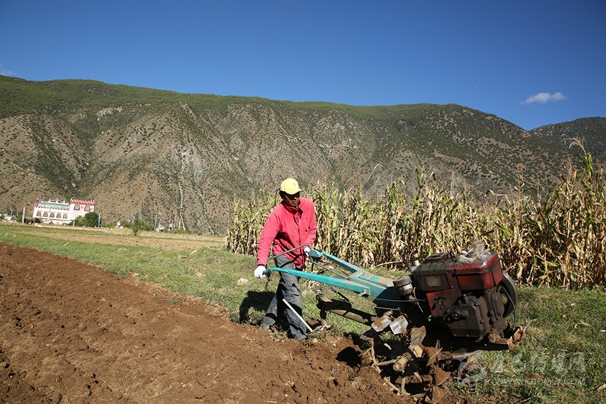 田園藏鄉(xiāng)美如畫，百姓脫貧喜在心