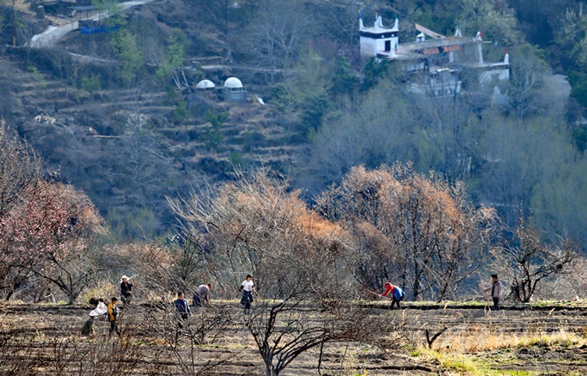 鉚足“?！眲鸥髅? onload=