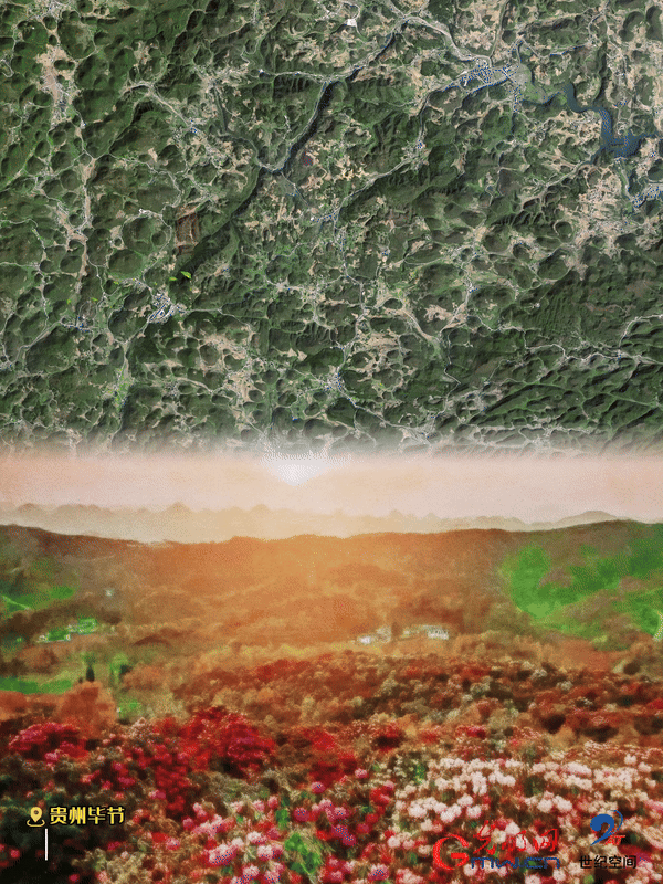 清明游玩賞花圖鑒來(lái)了！衛(wèi)星鏡頭帶你先睹為快