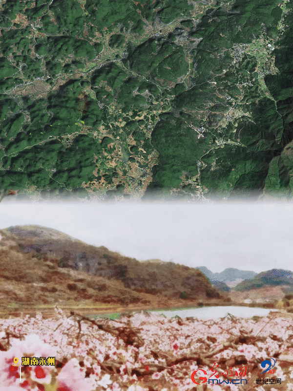 清明游玩賞花圖鑒來(lái)了！衛(wèi)星鏡頭帶你先睹為快