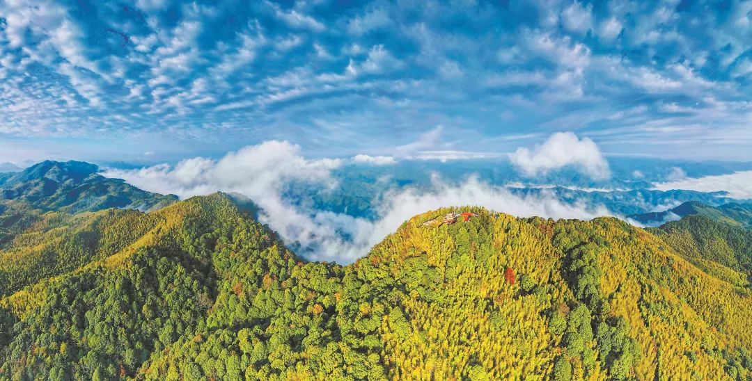 　三明森林生態(tài)環(huán)境優(yōu)美。